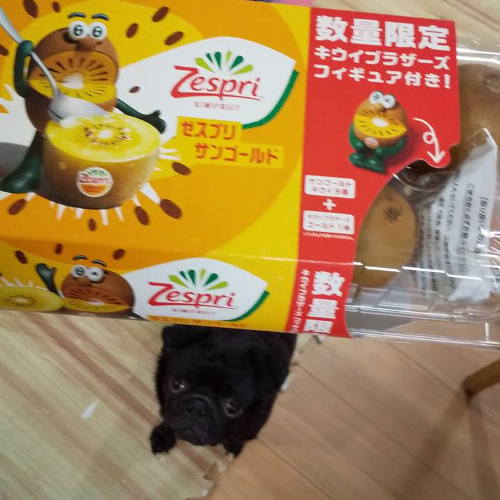 9352c865 552b 483a b27b 0196ac377c8c 1600600569863