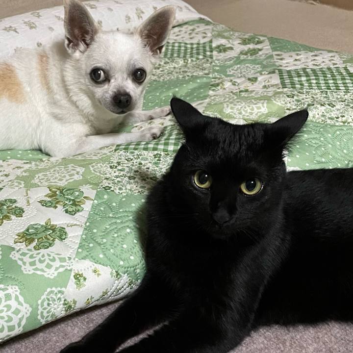 9352ef1b d894 4ad1 84cb e55e7eb0dfa4 1693460727809