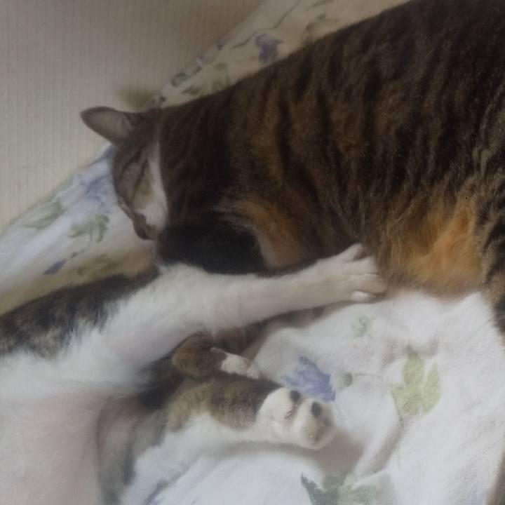 9352f3d4 49f4 47ee b2ab 55cba8e96877 1747879038774