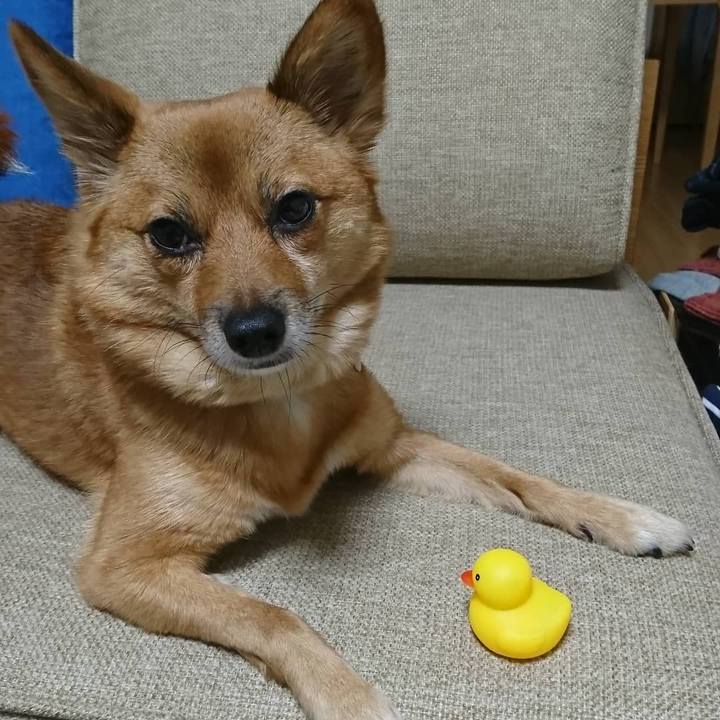 9353c1c8 6008 4625 95a4 fb32ac4de2f7 1543144245979