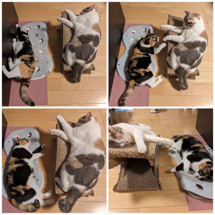 9353d2e8 71ca 486f 8288 b1593507dddc 1691551247942