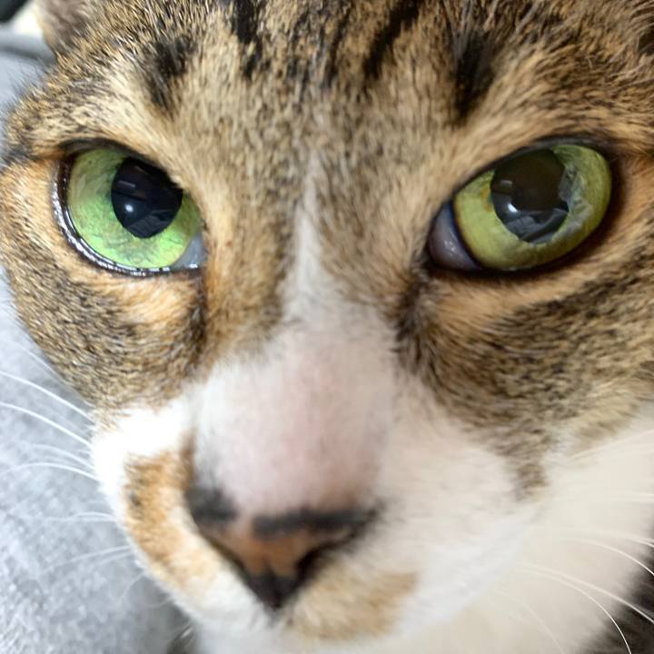 9353d352 ae7c 4686 a950 58a9c3a6e079 1545439106533