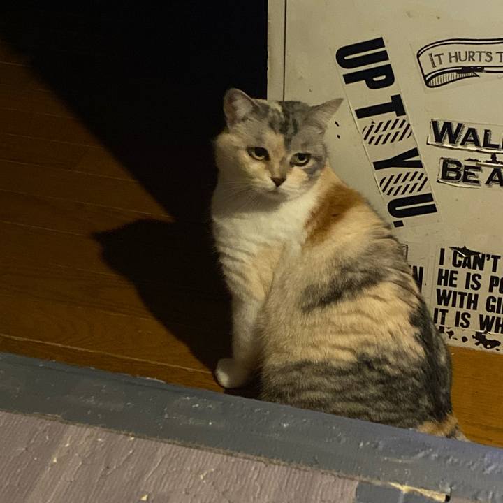 9353f54b a957 46d0 a33b a521c94ba72c 1684273653916