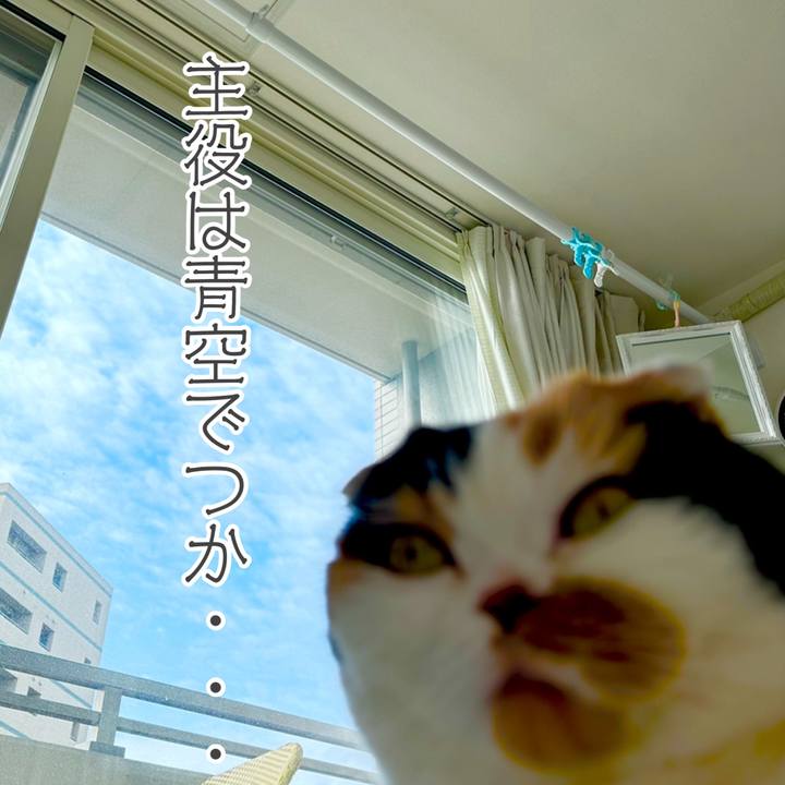 93541f41 cace 42e9 bae8 537377c49b8e 1712186220219