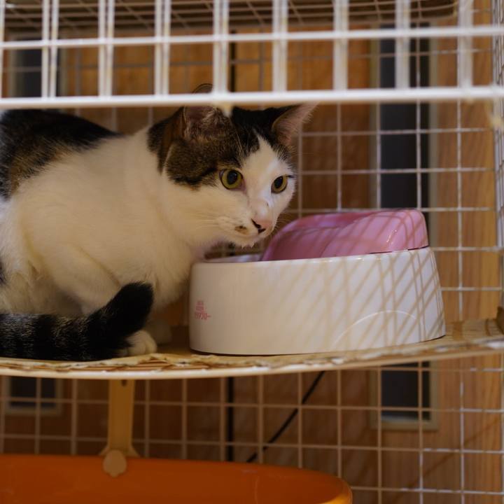 93545736 e865 4488 bee6 f5279ecebd99 1568035805070