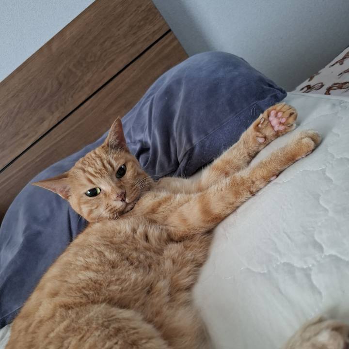 93545aa6 8d72 4051 9b62 995fd31ffbd3 1750649595190