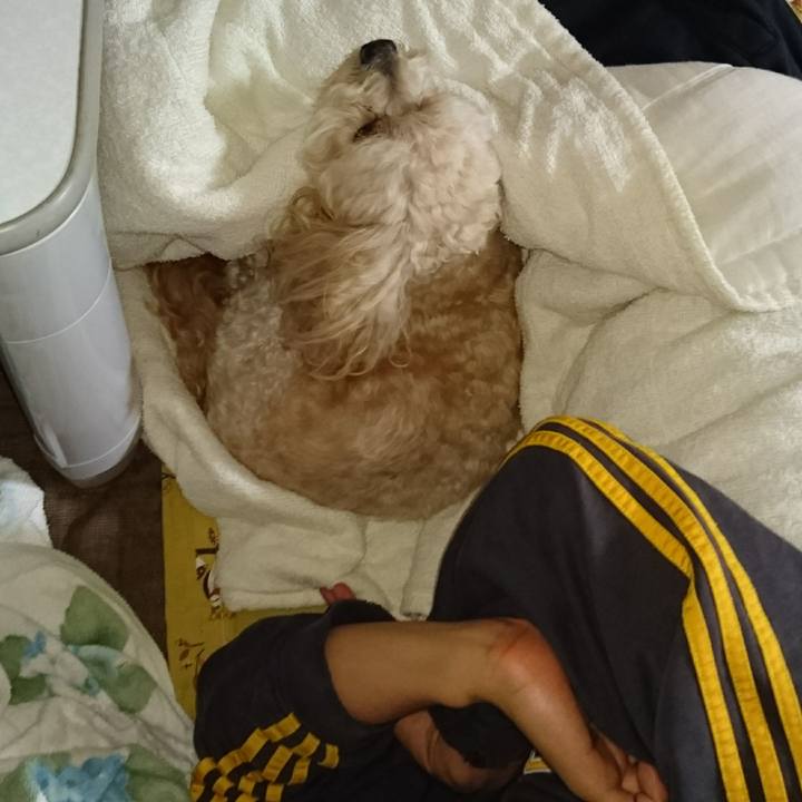 93545c2f cd83 4ed6 90c0 9c11b7af7bf0 1507586724486