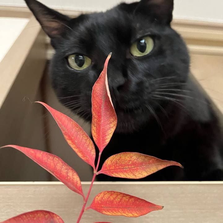 935461d1 271d 464b ad8e 5aca597d7e6d 1763426681998