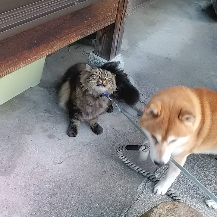 9354ace1 5b32 4a8c 9ca5 e2665787351e 1669511323180