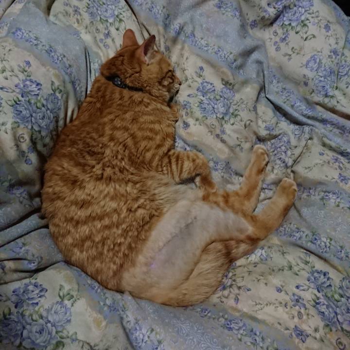 9354cbc5 4c54 4831 a820 0415c8e0e5ef 1655556840150