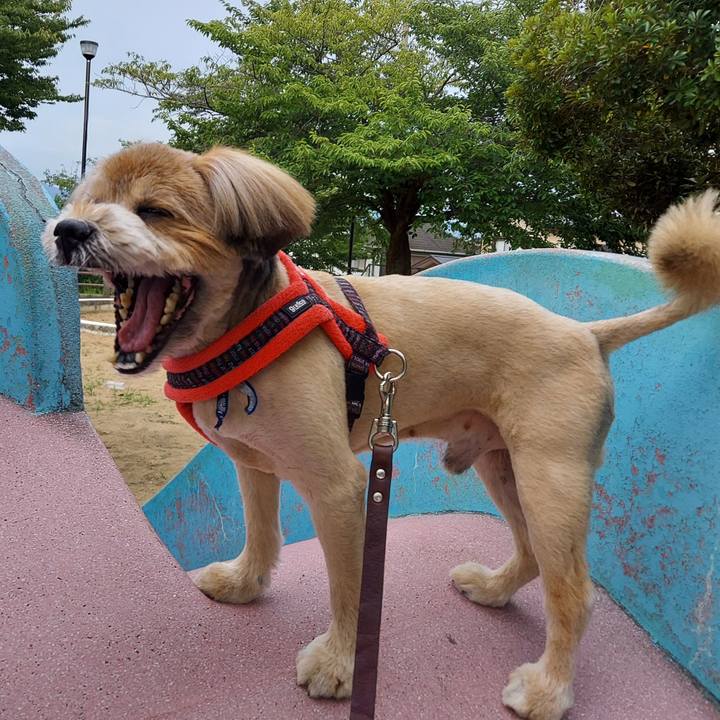 9354d825 6c73 4b39 8d93 9332e7446645 1657895425775