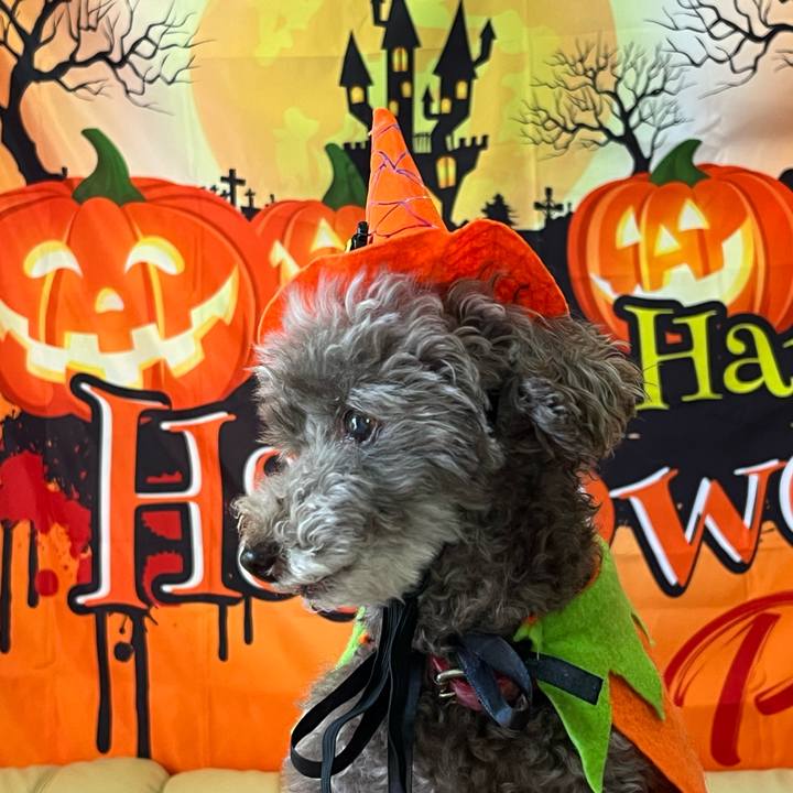 9354ee96 6839 4599 8de8 b1b3457a769e 1761868523814