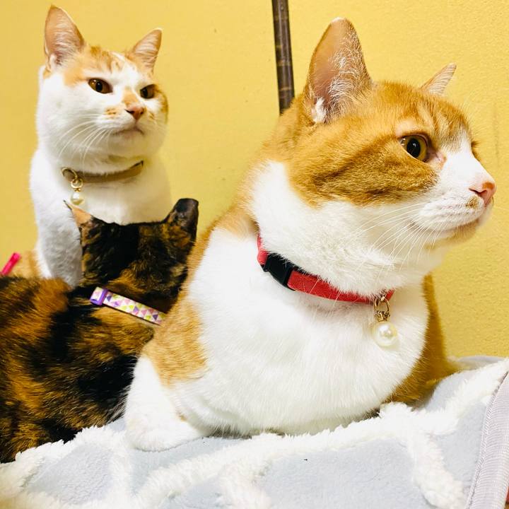 93551384 53f4 495b 8c74 c5c1425c348e 1707391927092