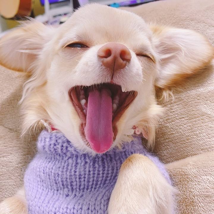 93552d10 c0e2 478b 8cb9 15cc9f9833e8 1616400351934