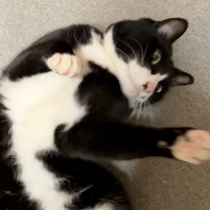 93553814 ad08 426d 804e 74f3ff4a04ea 1736387054886