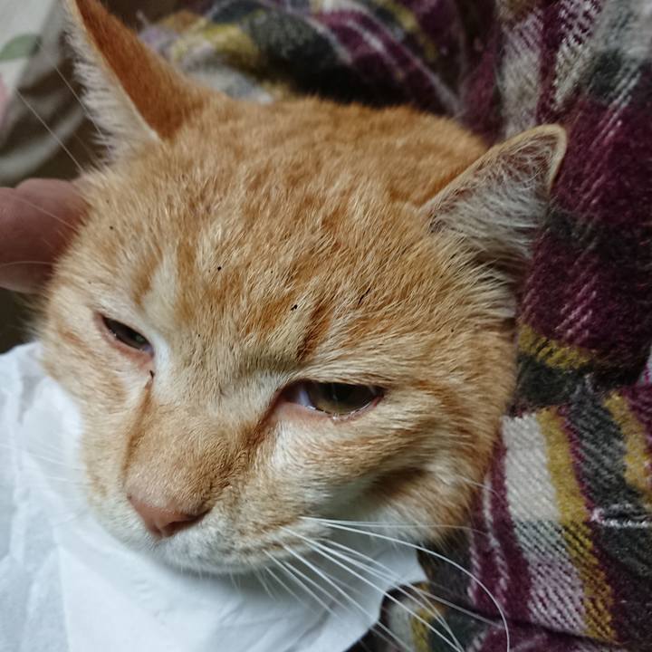 93555c35 0f57 40a7 97d3 e7eae8a440fd 1582446172165