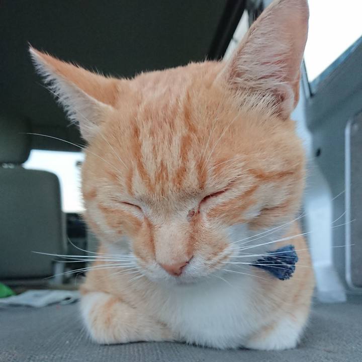 935588e0 84d0 4870 af70 63dd8f44cba8 1562579937180