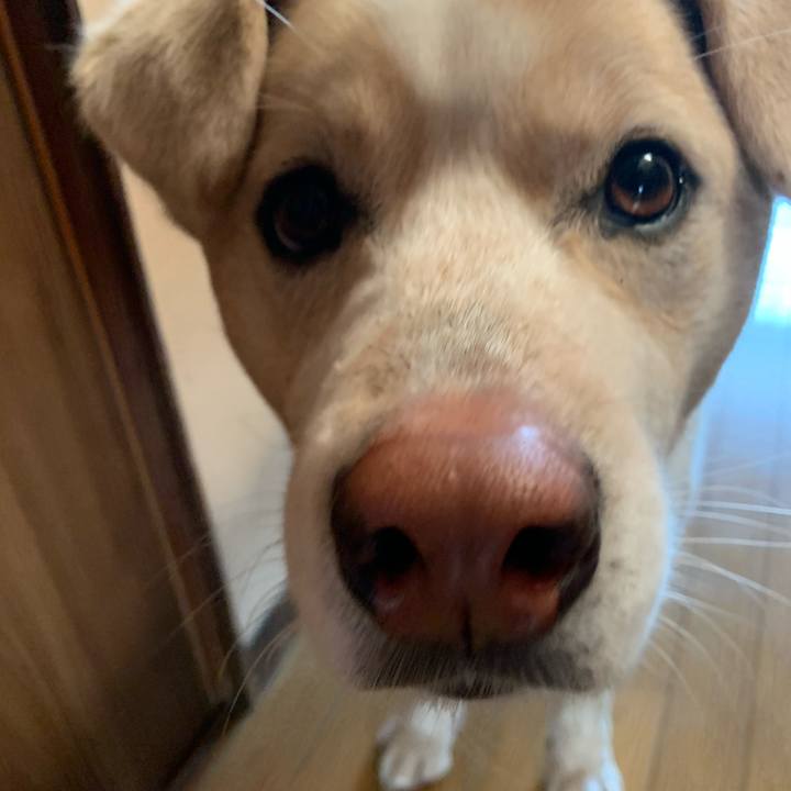 93558e26 4f8e 4f15 bb26 5c4e9b245929 1582422515448