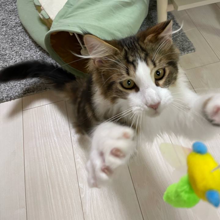 93559700 49c3 4b3b b9f8 dbc5399db7ea 1637066355457