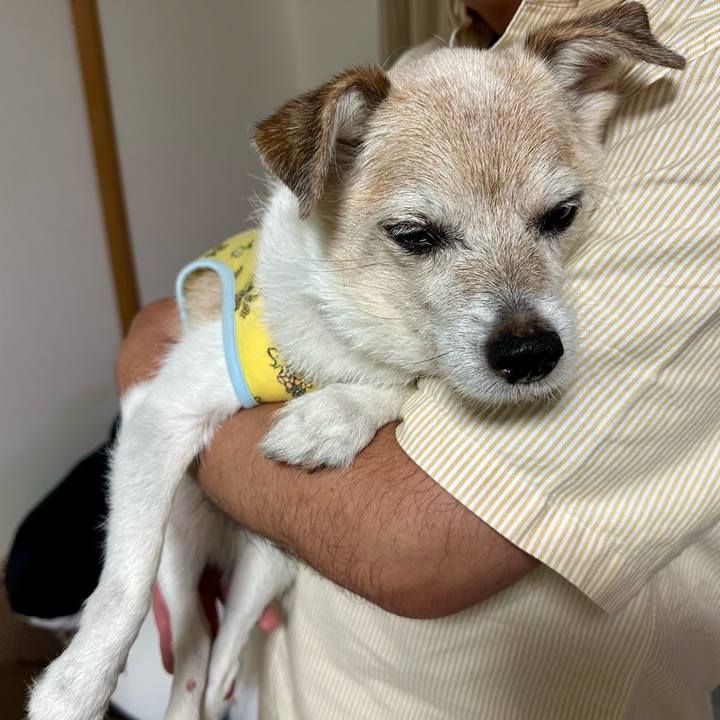 93559dfa 1d6a 476e 86b5 d1939d8fef93 1756249525470