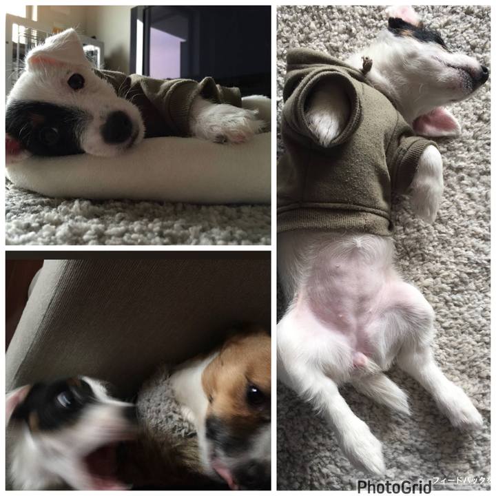 9355acfc 4463 465a accc 8e5ac5d7a5e1 1676637447919