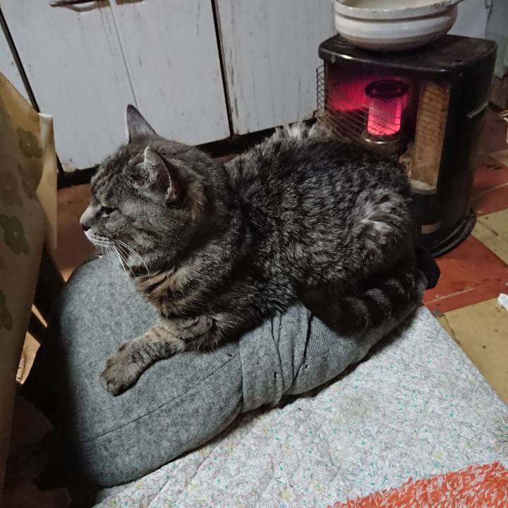 9355e460 c13f 481d a9d4 1d4a587e2ffc 1574851731818