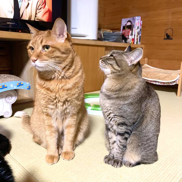 9355e726 630f 409a a25e f4f4e2138f88 1589978464128