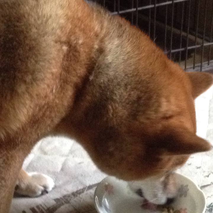 93561d75 2640 4818 b9d7 f4e379623103 1523836941886