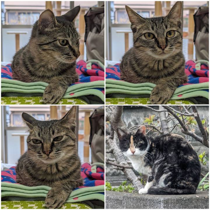 935638b9 c6b3 4751 9837 ae716e816ecb 1711599153060