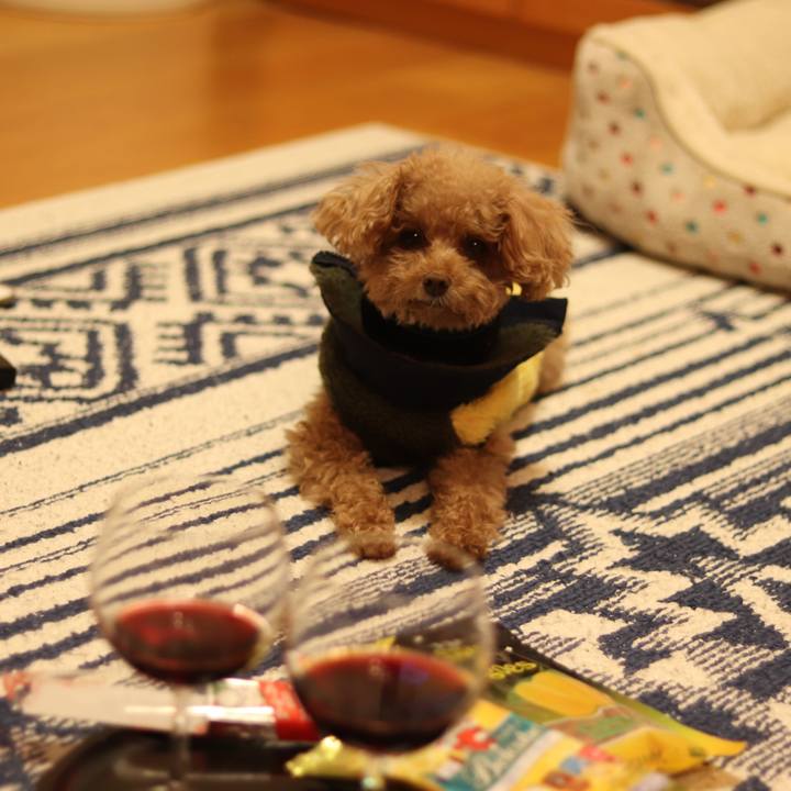 935649b0 c9d4 4358 85b6 cad6fa8d0427 1547297857679