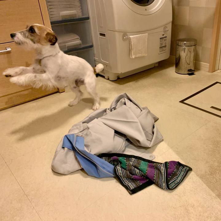 935663f5 dd86 4b5a 8869 11ef07168fd2 1615548311493