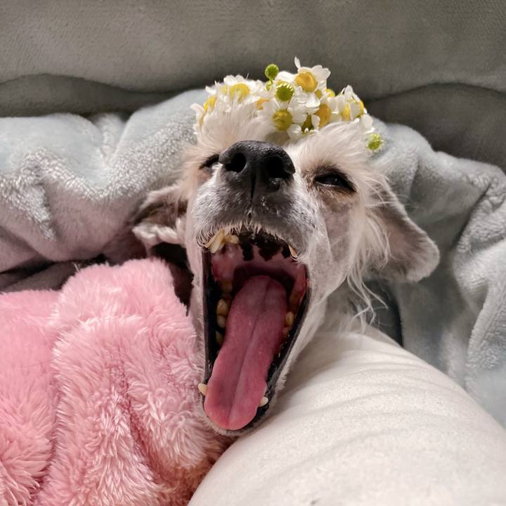 93566891 48e4 4e75 a44a 1e3fd32b209d 1771392447991