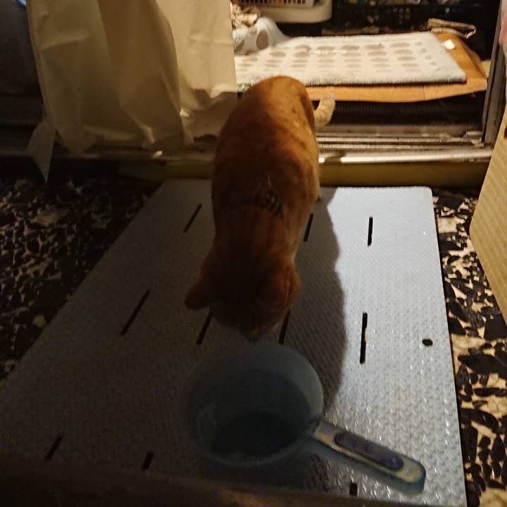 93567a76 67e4 40cc bb56 b146707132e2 1575106210329