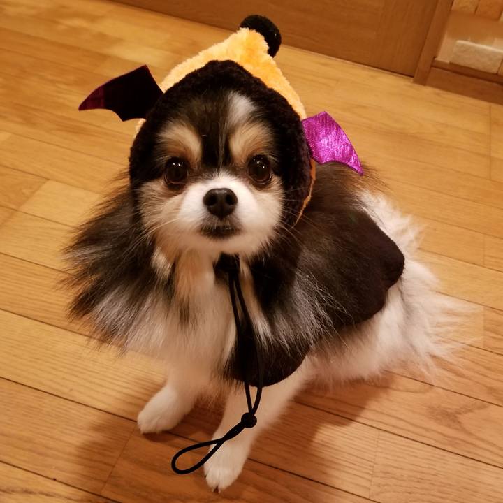 93569016 9ffc 415b b908 ac75adc11aaf 1572526759006