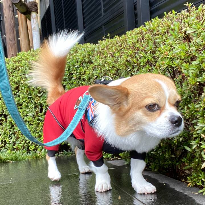 93569736 5b5f 4097 8ec1 a2564ed39863 1627352696148