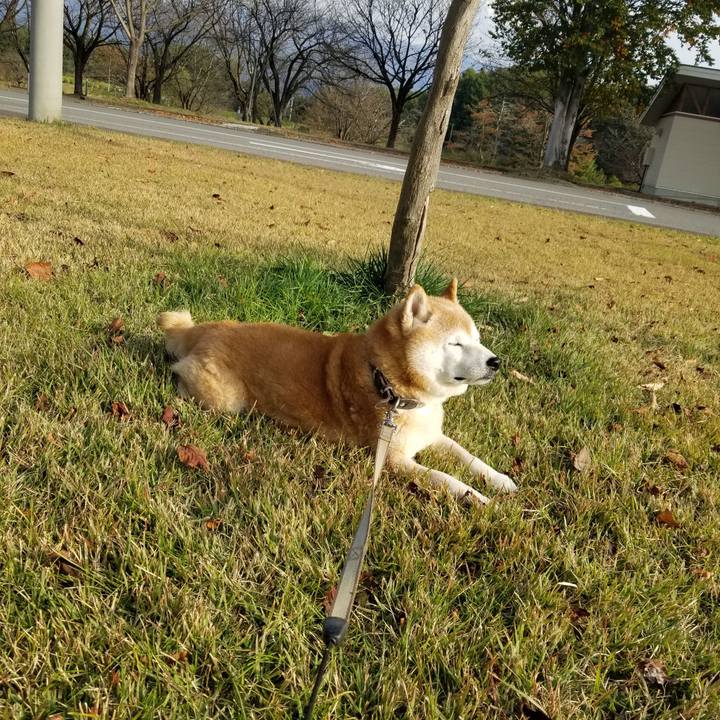 9356b138 9b1d 46af 9e75 65da46f64a9c 1698385412820