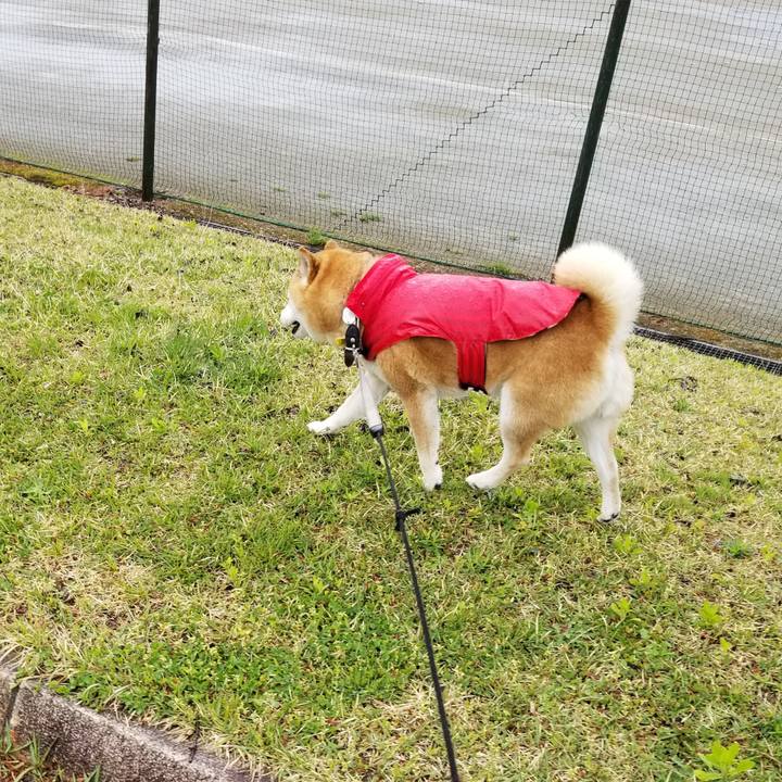 9356e771 d41c 435e b12d 6ebe788f2753 1619938780538