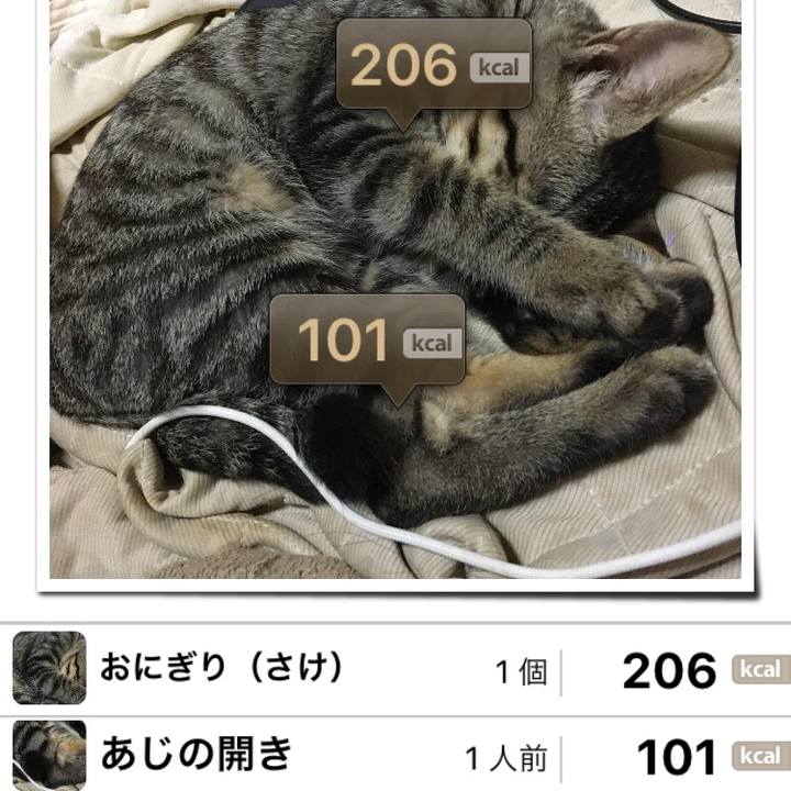 93571792 46d6 459f a69c 9f807b21be7e 1537357745814