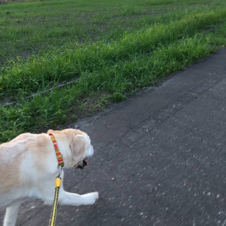 935767e0 7d0f 478d be15 84c06e8e1632 1531651829600