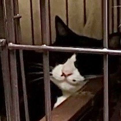 93577ece 21fa 4be5 b678 7149681f522a 1730712754320