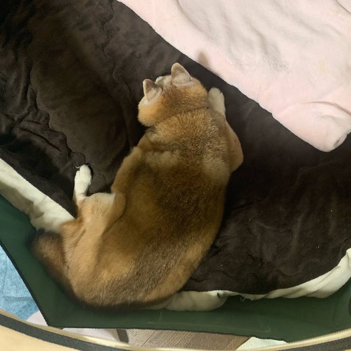 9357e1c3 47af 4732 b9e8 ece1c943b813 1682510588121