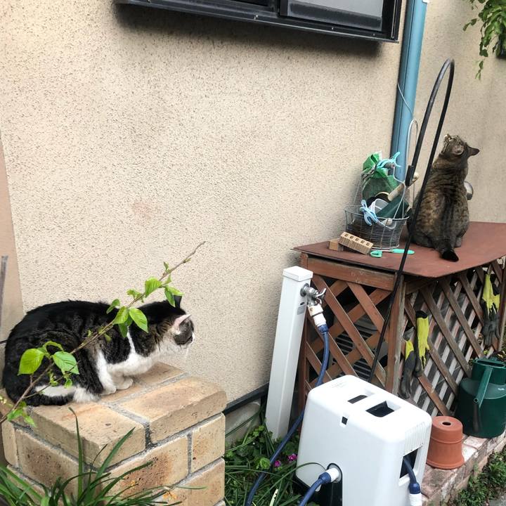 93580043 9db5 41be af60 c09b0ba1ff98 1553776529051