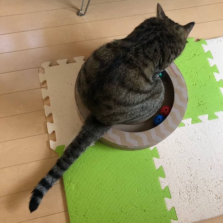 93580ddd a6ac 4efd 97fc 93da82c7e881 1561967827348