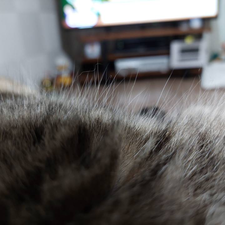 9358881f f558 48de 913a 21492758f21b 1656756038736