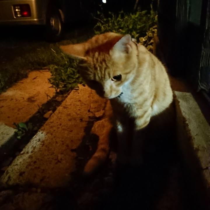 9358a67c 3ca0 43a0 85b2 c35726059f3d 1564313843358