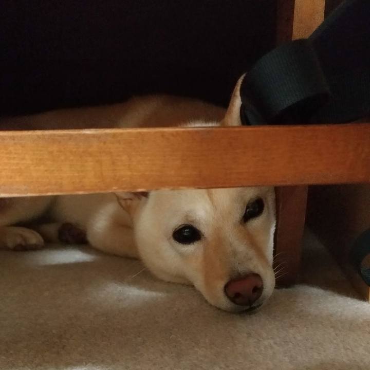 9358be99 3569 4336 9572 60e0d86de777 1534157565669