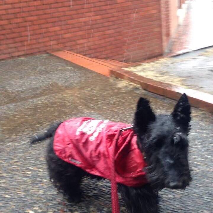 9358ee7d d144 4108 997c afa748d447f5 1604040362635