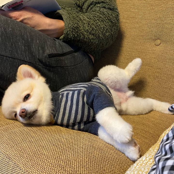 935904be 50de 4deb 8e84 89f3a4408948 1639971367053