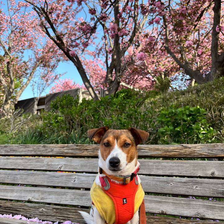 93591a3a 6b9e 42d3 99a9 cd6843250416 1713497239116