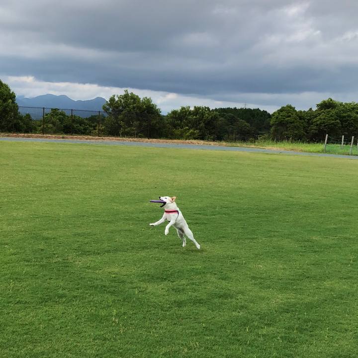 9359ac8e 83ff 49ed 867e 90979d3ca724 1529139742718